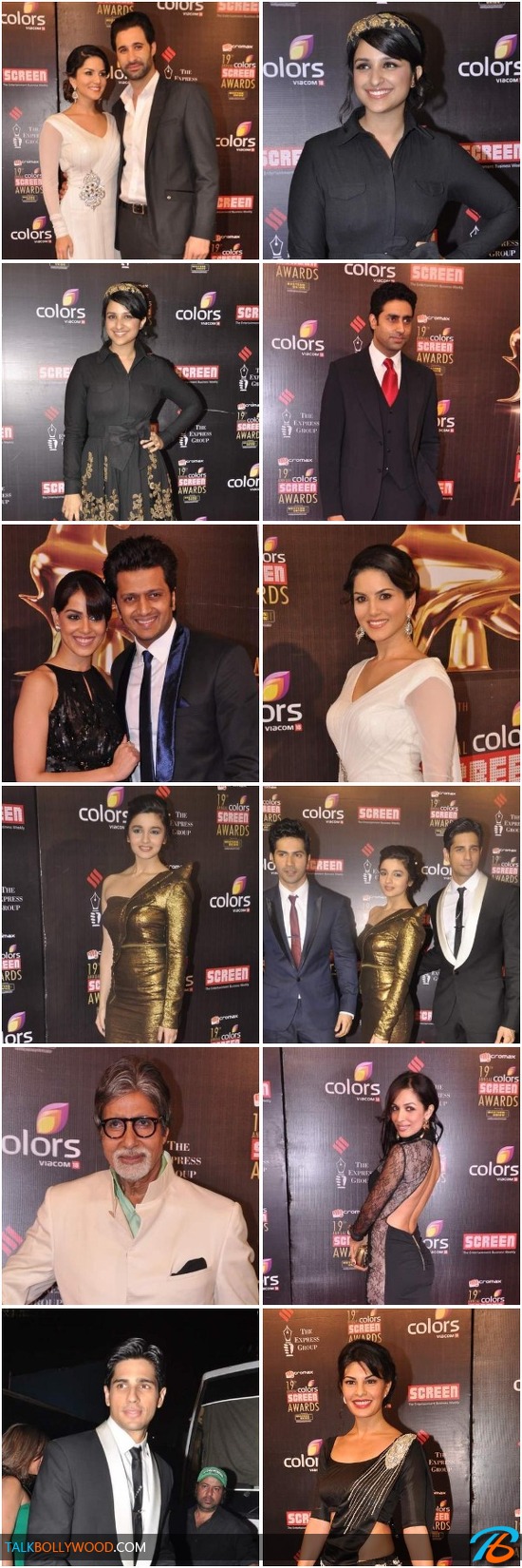 Bollywood Celebs-At-Colors Screen Awards 2013-tbwm